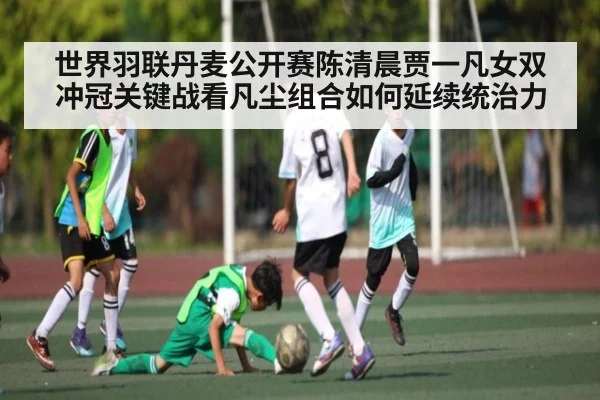 世界羽联丹麦公开赛陈清晨贾一凡女双冲冠关键战看凡尘组合如何延续统治力 - kaiyun